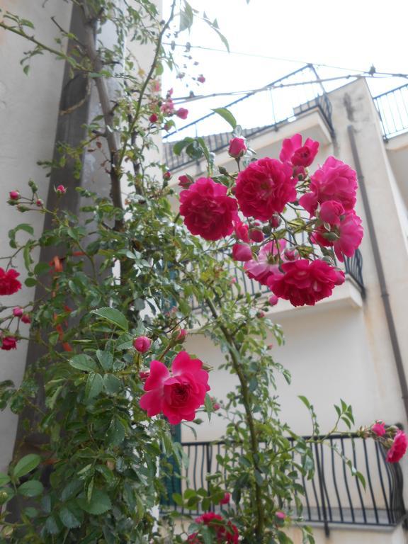 Апартаменти Canton Delle Rose Шиклі Екстер'єр фото